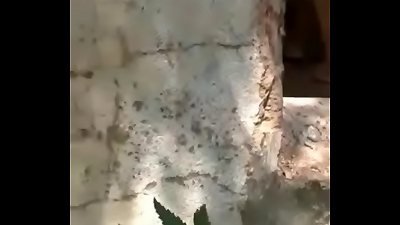 red light realm randi nailing