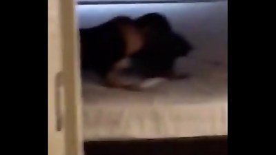 I got home and SURI was being pounded by ye uni