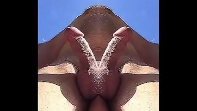 beef whistle art parade outdoor