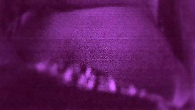 getting him well-prepped for my beaver